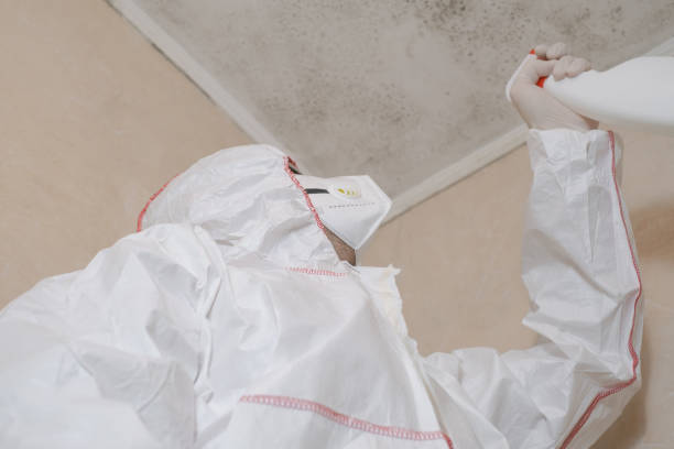 Best Mold Testing  in White Center, WA